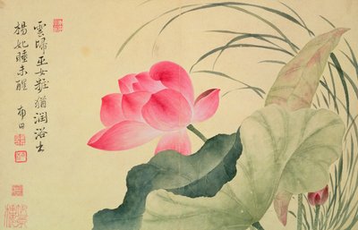 Flor de Lótus, de Yun Shou-P&39;ing (1633-90), de um &39;Álbum de Flores&39;, (wc em papel de seda) de Shouping Yun